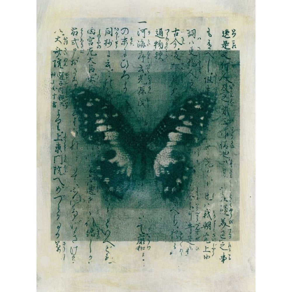 Butterfly Calligraphy I Poster Print - Elena Ray-VARPDX77808D Image 1