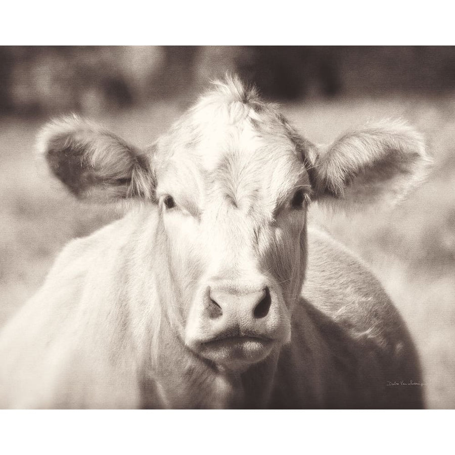 Pasture Cow Neutral Poster Print - Debra Van Swearingen-VARPDX77816 Image 1