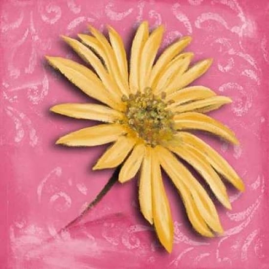 Blooming Daisy II Poster Print by Patricia Pinto-VARPDX7801A Image 2