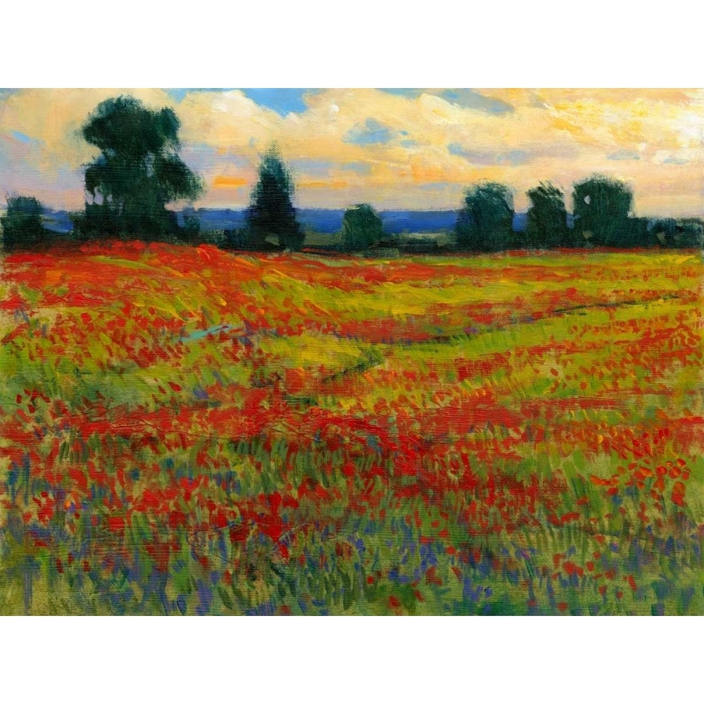 Red Field I Poster Print - Tim OToole-VARPDX78034D Image 1