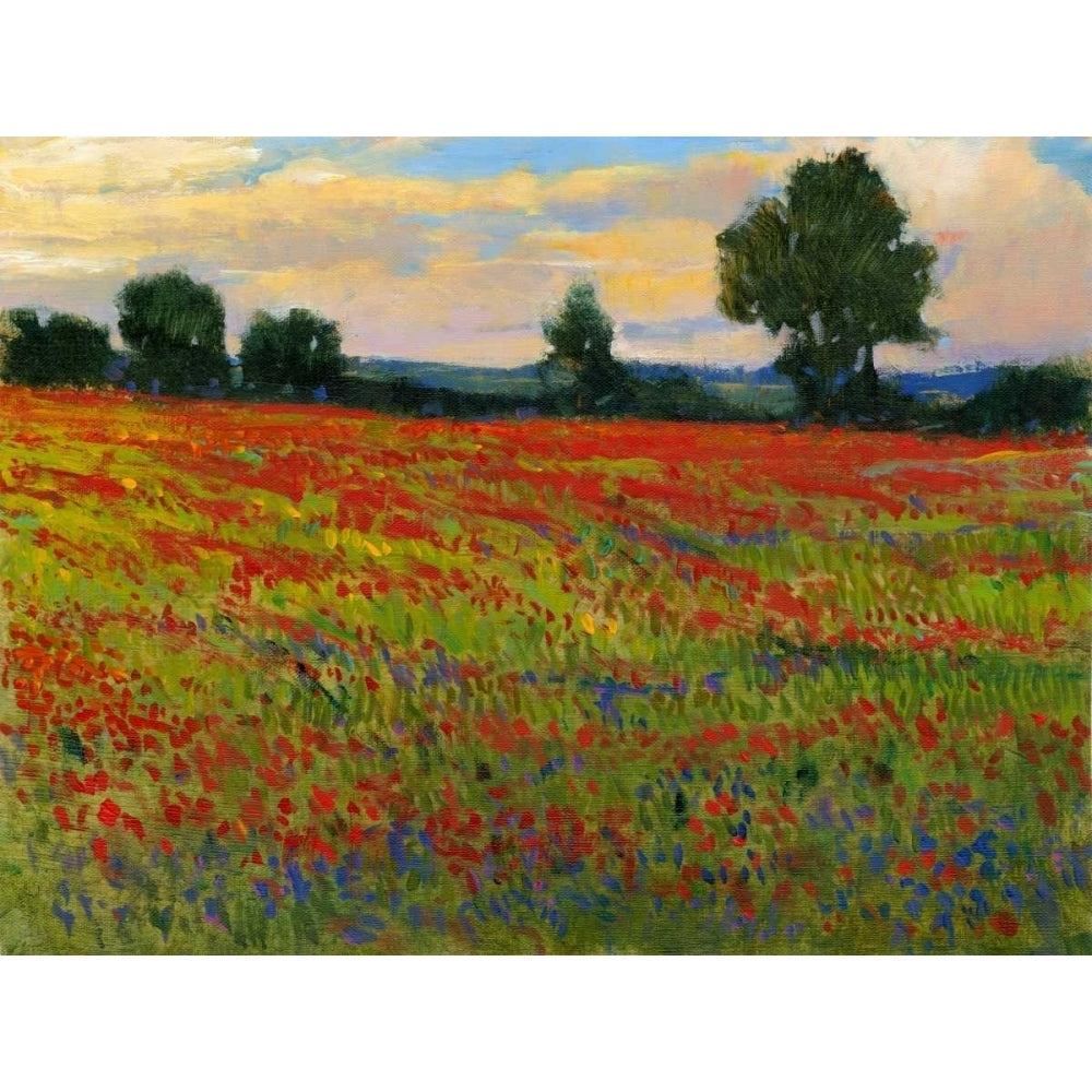 Red Field II Poster Print - Tim OToole-VARPDX78035D Image 1