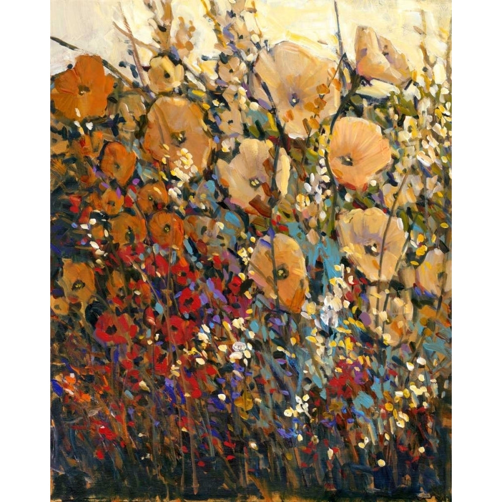 Bright and Bold Flowers I Poster Print - Tim OToole-VARPDX78061D Image 1