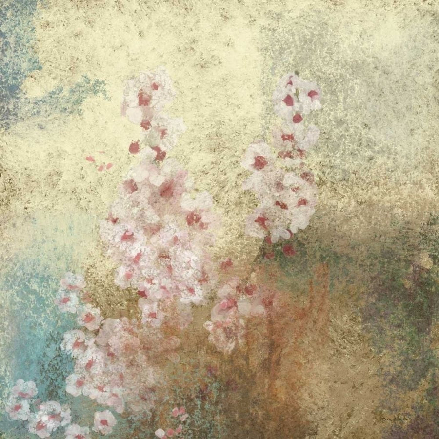 Cherry Blossom Abstract II Poster Print - Rick Novak-VARPDX78143D Image 1