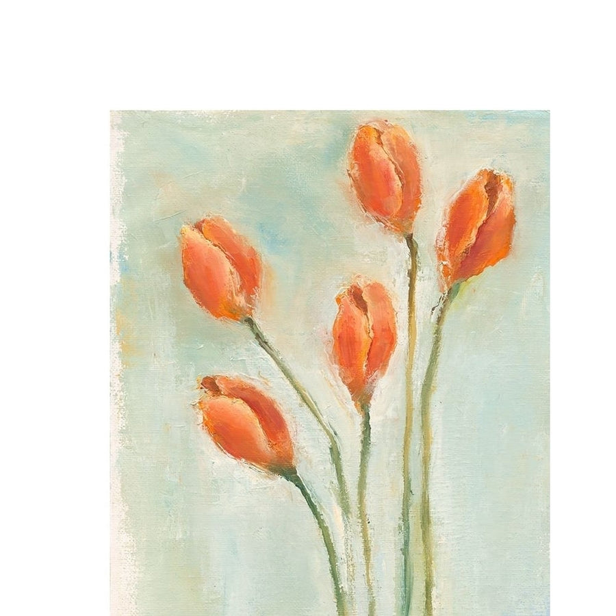 Painted Tulips I Poster Print - Liz Nichols-VARPDX78243D Image 1