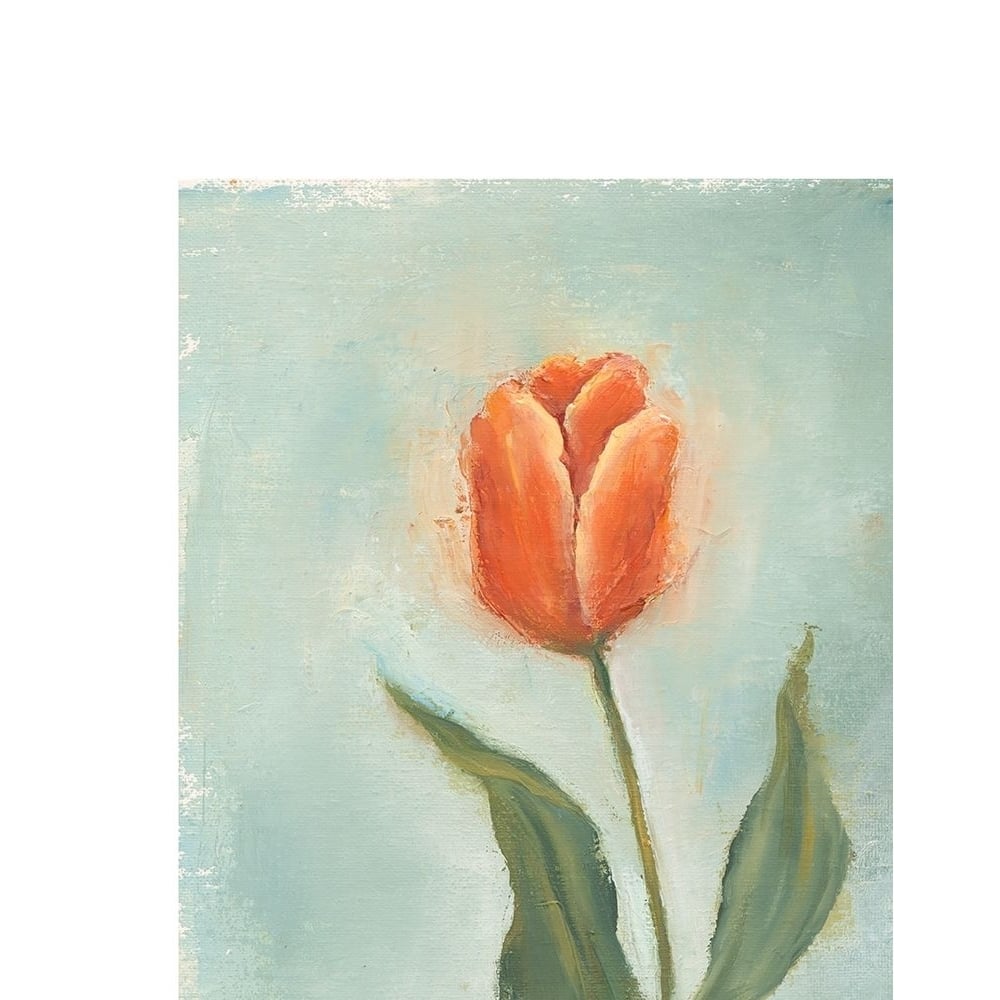 Painted Tulips V Poster Print - Liz Nichols-VARPDX78247D Image 1