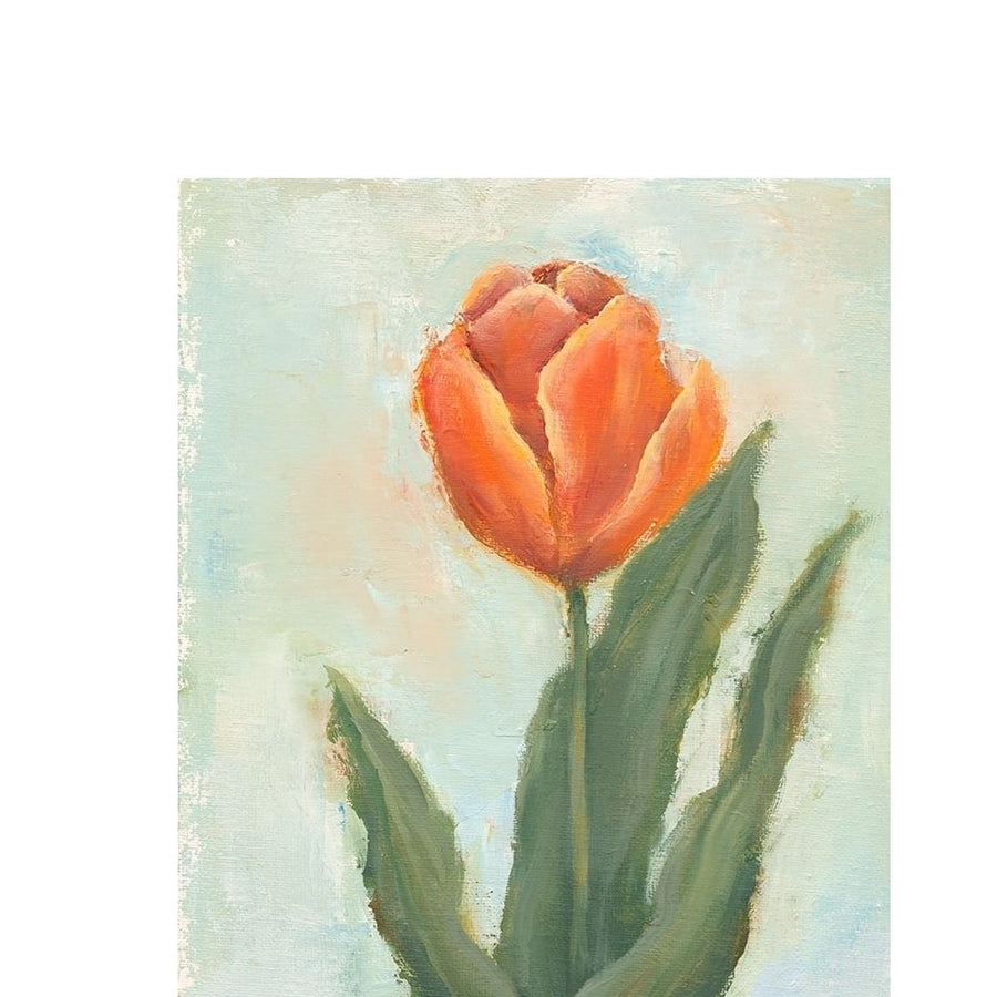 Painted Tulips IV Poster Print - Liz Nichols-VARPDX78246D Image 1