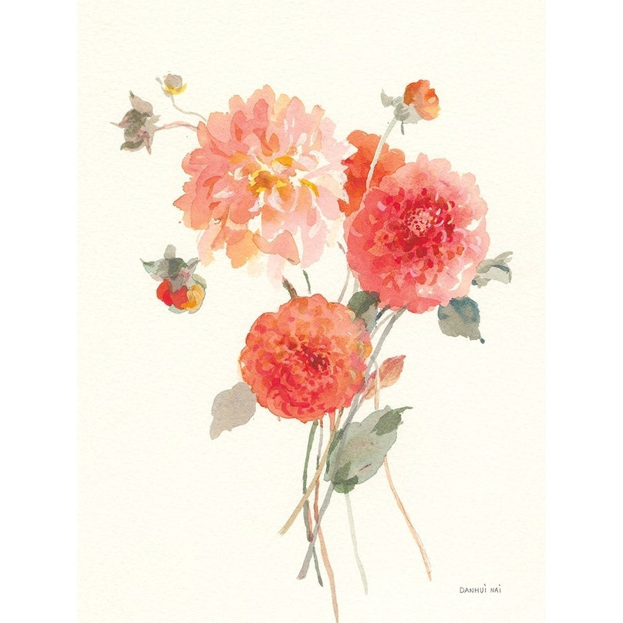 Summer Dahlias II Poster Print - Danhui Nai-VARPDX78329 Image 1