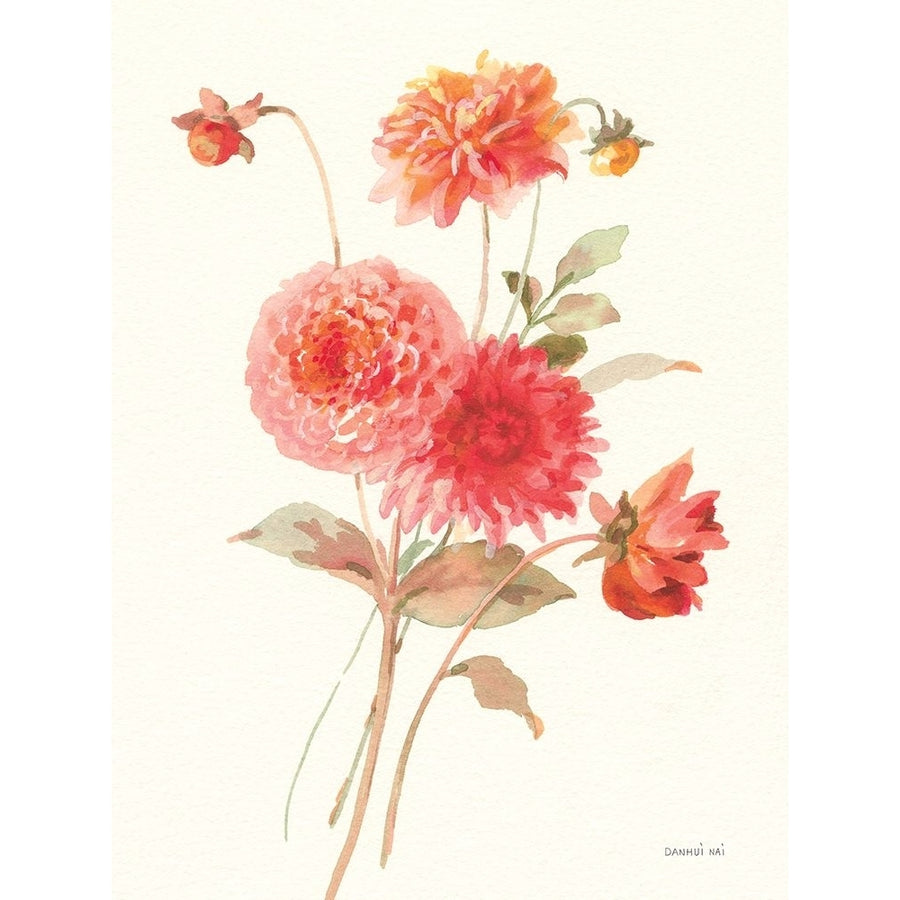 Summer Dahlias I Poster Print - Danhui Nai-VARPDX78328 Image 1