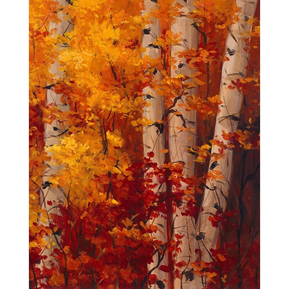 The Magnificent Season of Autumn C Poster Print - Tim Howe-VARPDX78422 Image 1