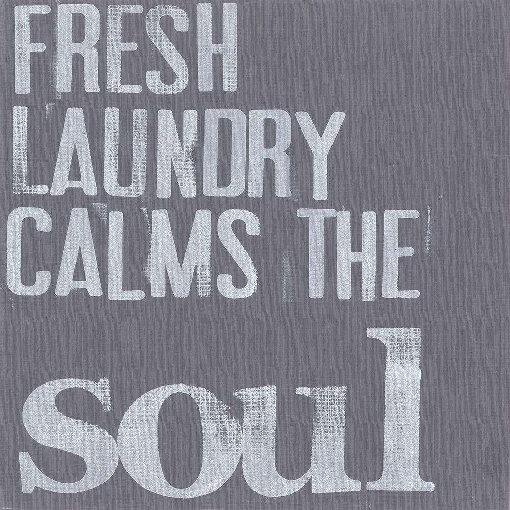 Fresh Laundry II Poster Print - Deborah Velasquez-VARPDX78469D Image 1