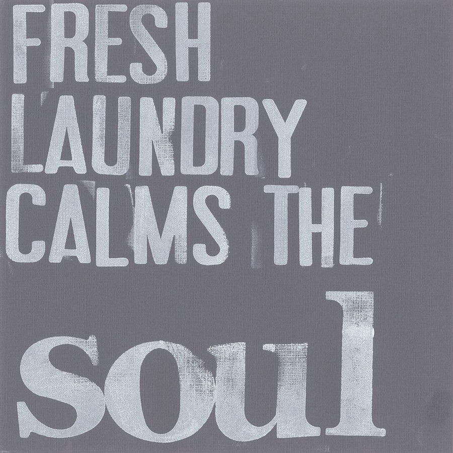 Fresh Laundry II Poster Print - Deborah Velasquez-VARPDX78469D Image 1