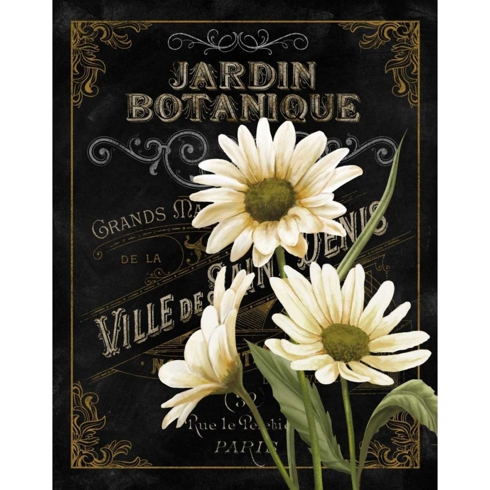 Small Botanical Collection I Poster Print - Abby White-VARPDX78484D Image 1