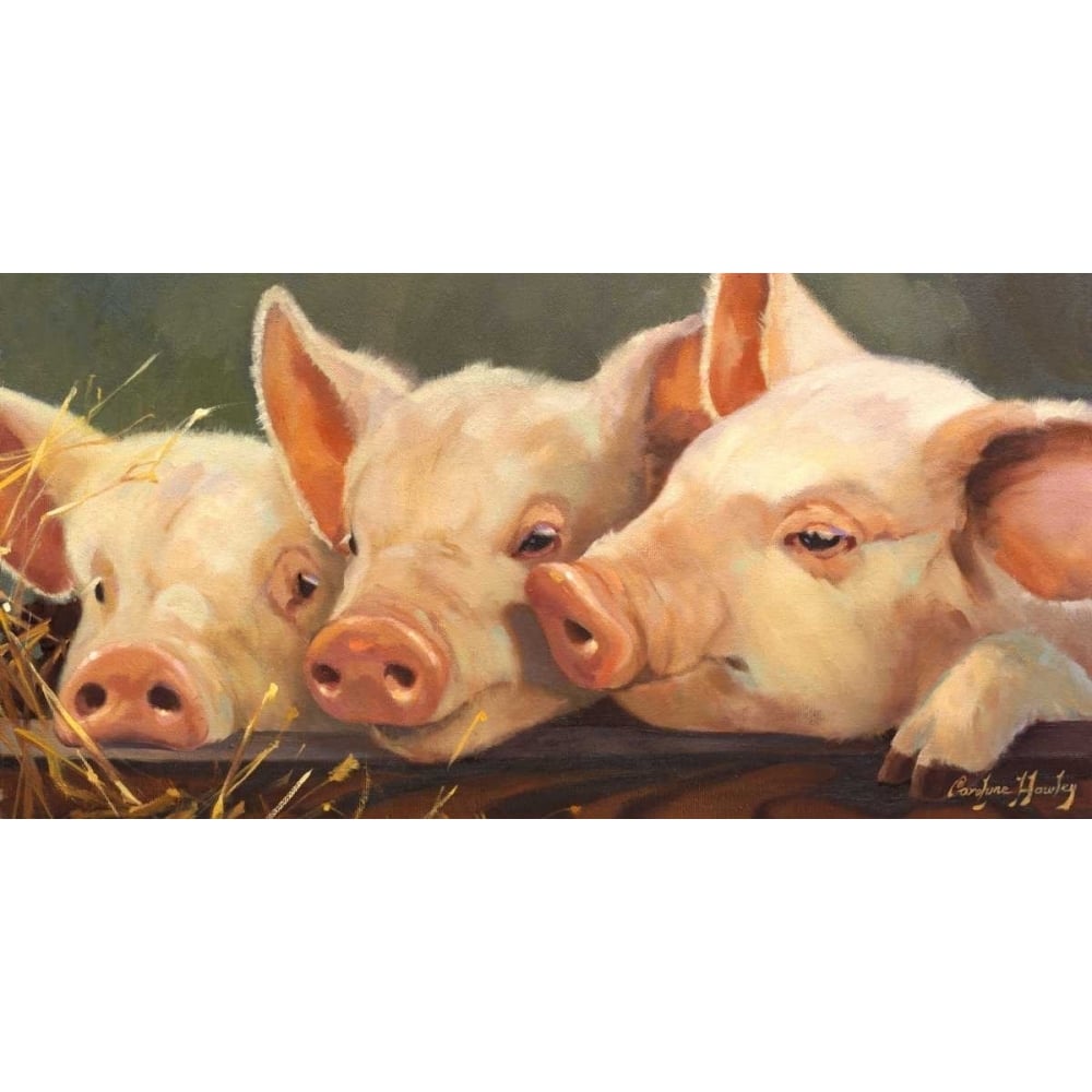 Pig Heaven Poster Print - Carolyne Hawley-VARPDX78510D Image 1