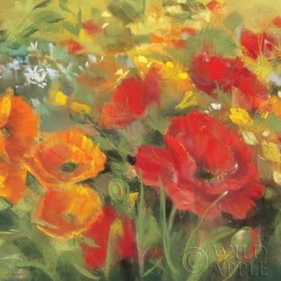 Oriental Poppy Field I Poster Print by Carol Rowan-VARPDX7857 Image 1