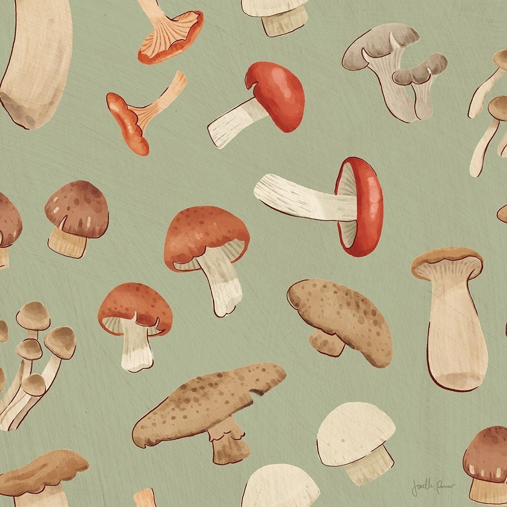 Mushroom Madness Pattern ID Poster Print - Janelle Penner-VARPDX78572 Image 1