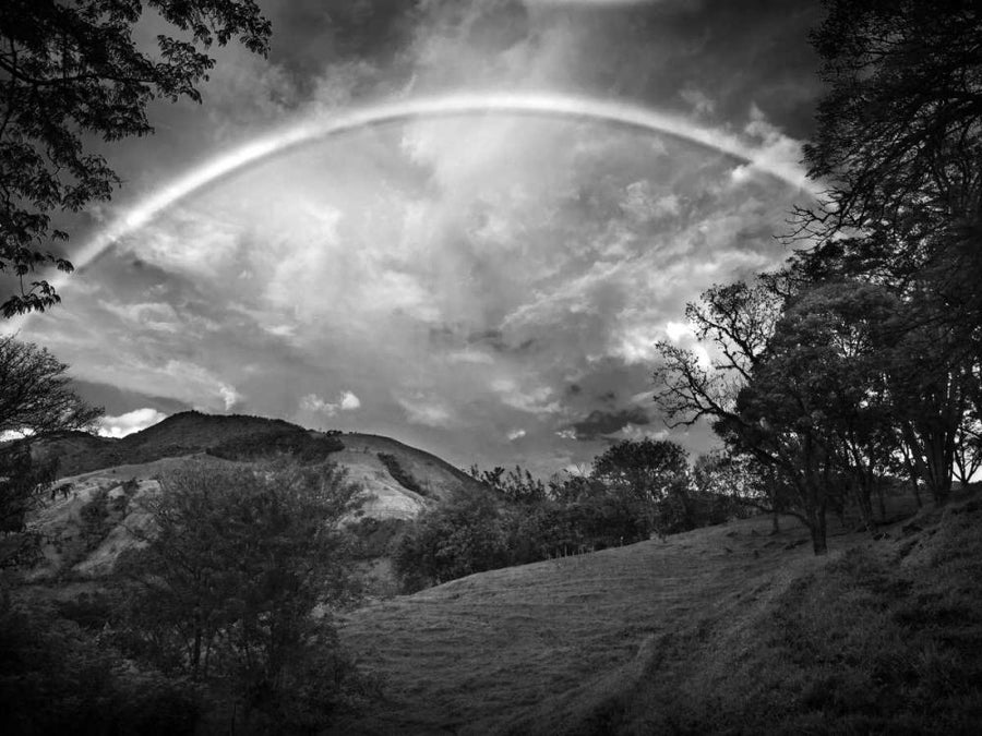 Green Field With Rainbow Poster Print - Nish Nalbandian-VARPDX78593D Image 1