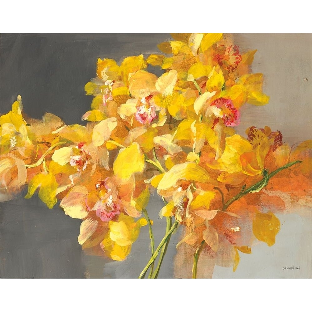 Orchid Dreaming Poster Print - Danhui Nai-VARPDX78719 Image 1