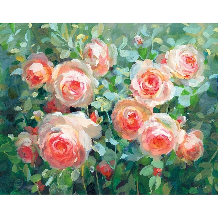 English Roses Poster Print - Danhui Nai-VARPDX78722 Image 1