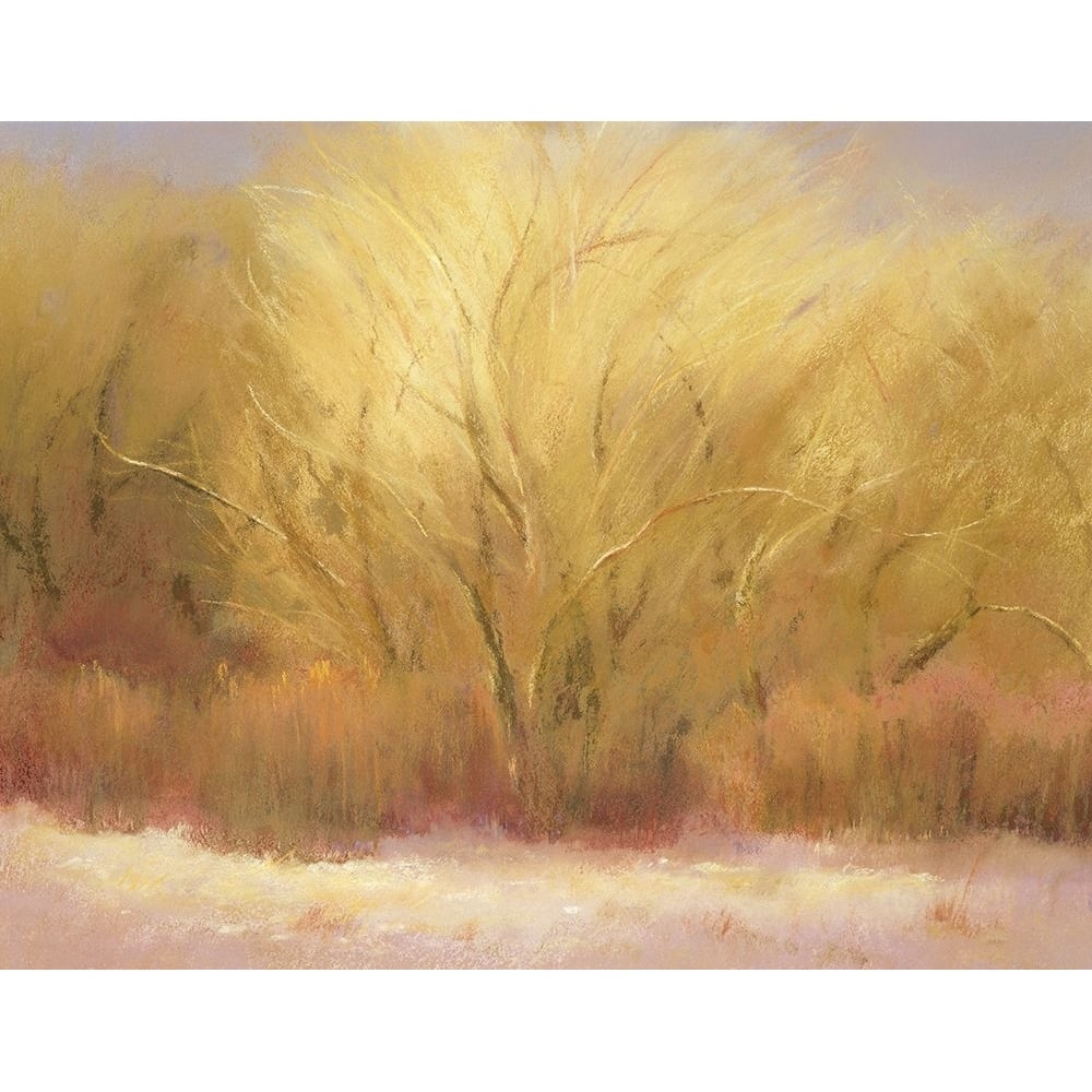 Winter cottonwoods Poster Print - Teri Jonas-VARPDX78793 Image 1