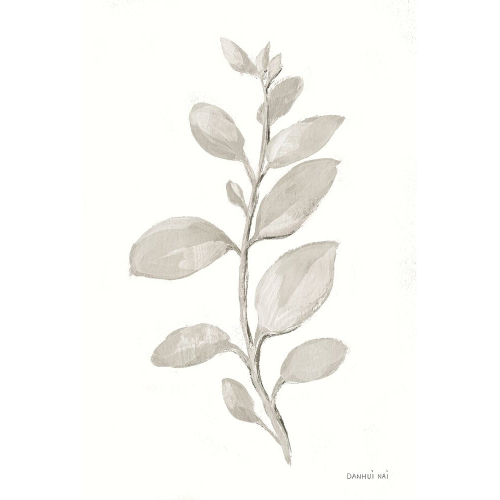 Gray Sage Leaves II on White Poster Print - Danhui Nai-VARPDX78805 Image 1