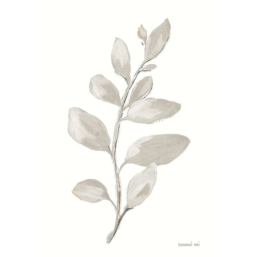 Gray Sage Leaves I on White Poster Print - Danhui Nai-VARPDX78804 Image 1