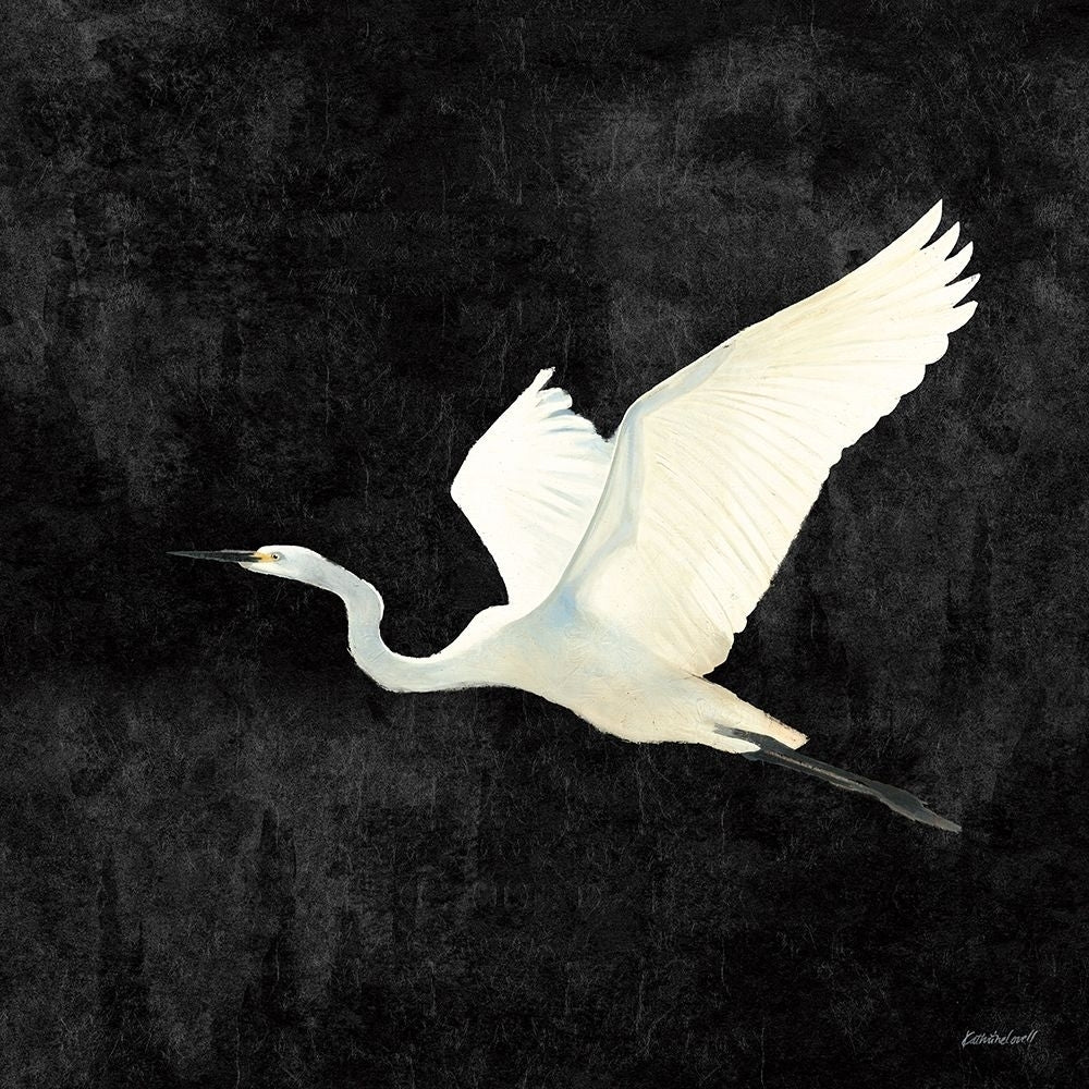 Egret Alighting II Flipped Black Poster Print - Kathrine Lovell-VARPDX79055 Image 1