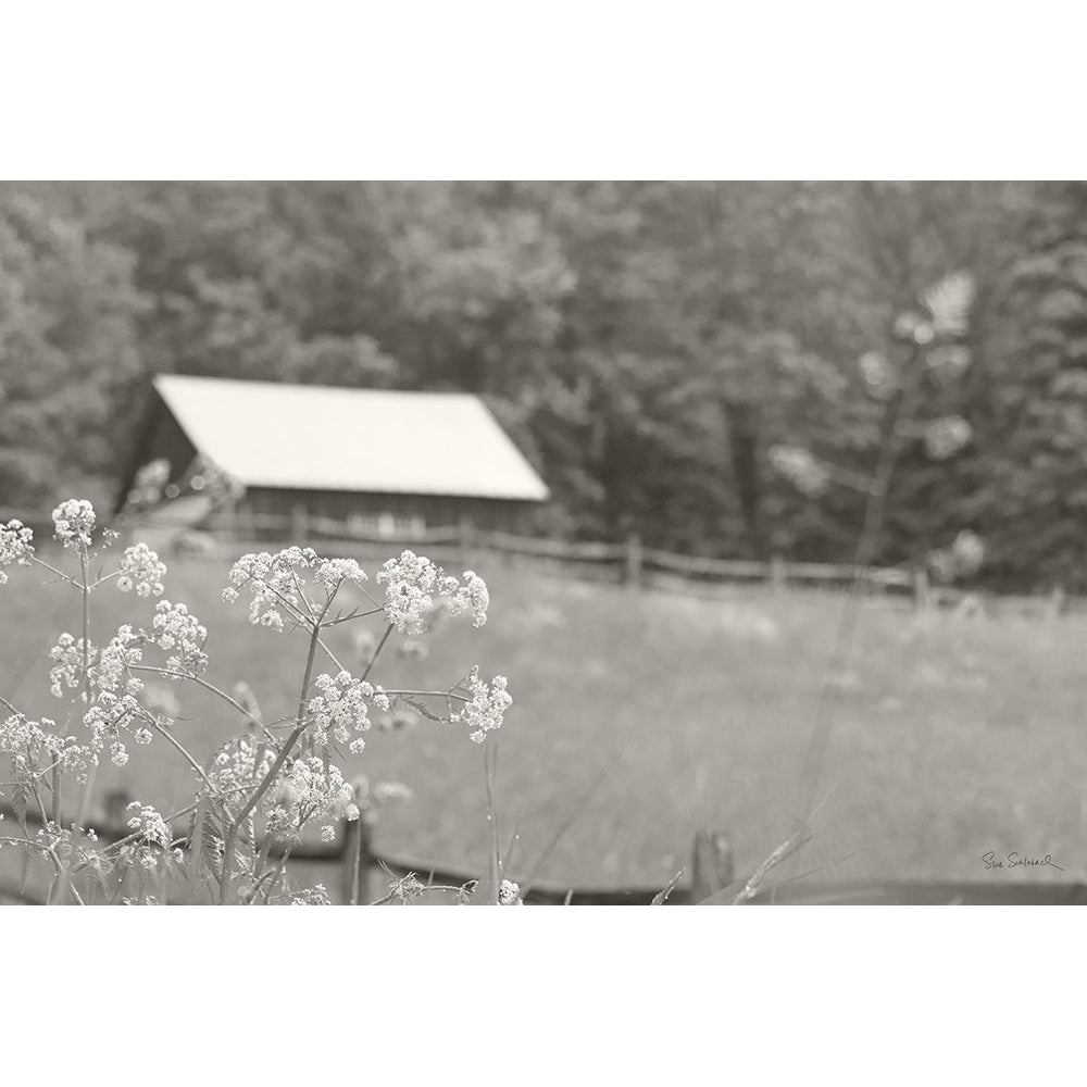 Summer Farm III BW Poster Print - Sue Schlabach-VARPDX79105 Image 1