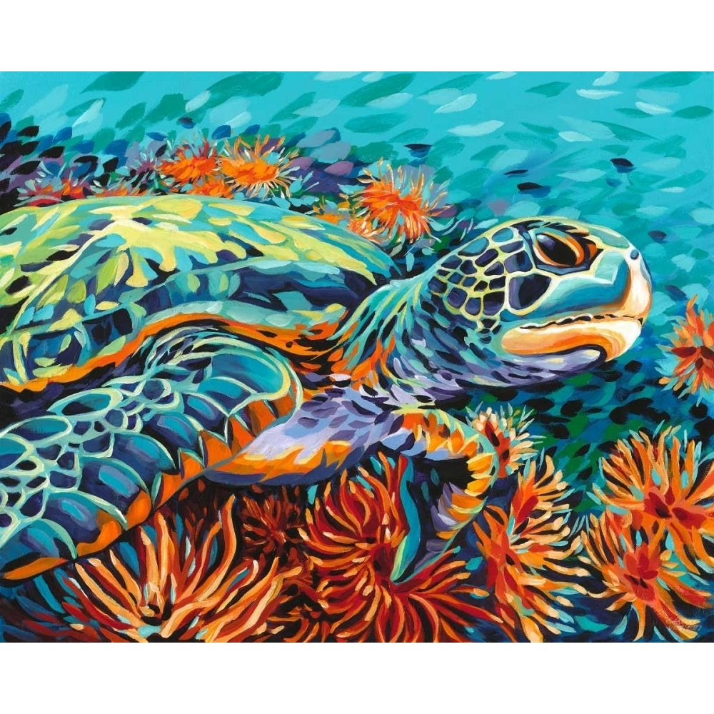 Sea Sweetheart I Poster Print - Carolee Vitaletti-VARPDX79132GG Image 1