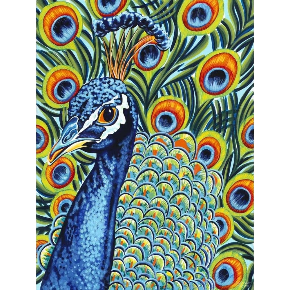 Plumed Peacock I Poster Print - Carolee Vitaletti-VARPDX79140GG Image 1