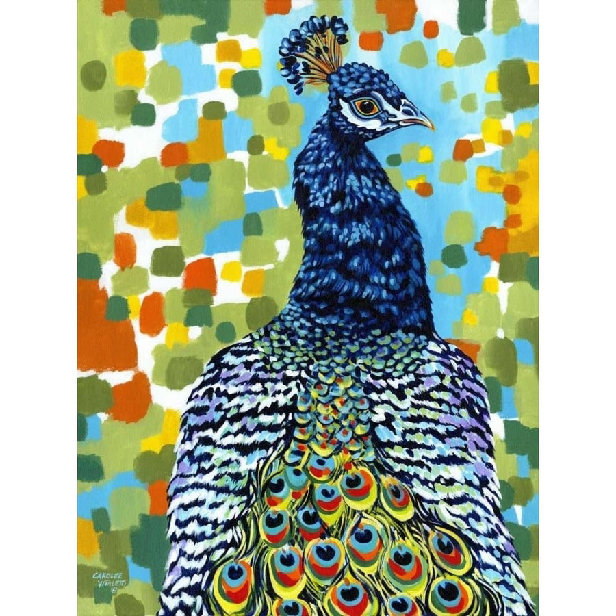 Plumed Peacock II Poster Print - Carolee Vitaletti-VARPDX79141GG Image 1