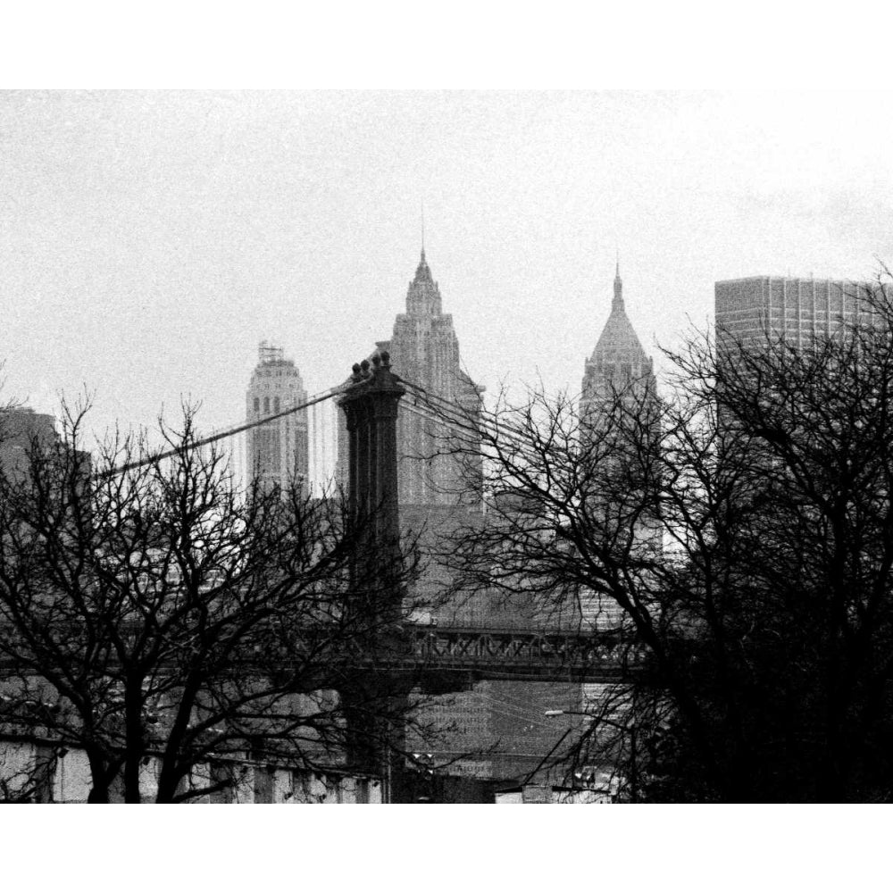 Bridges of NYC V Poster Print - Jeff Pica-VARPDX79168GG Image 1