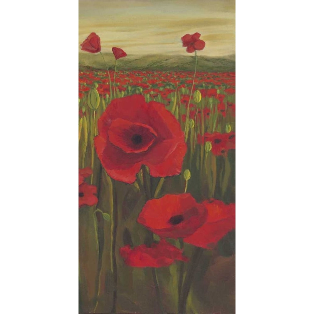 Red Poppies in Field II Poster Print - Julie Joy-VARPDX79184GG Image 1