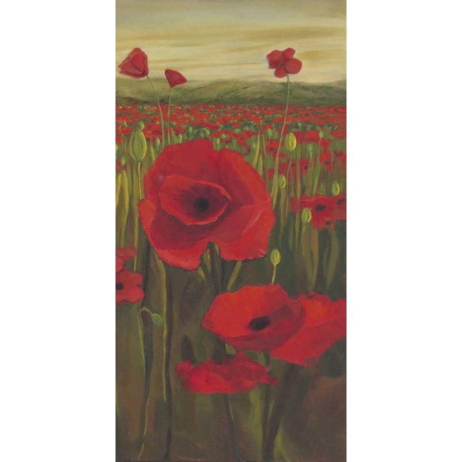 Red Poppies in Field II Poster Print - Julie Joy-VARPDX79184GG Image 1