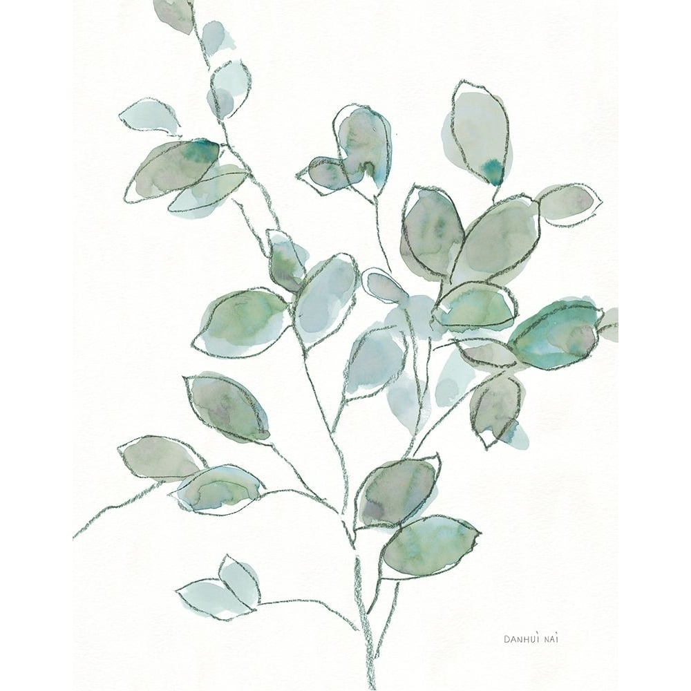 Transparent Branch Eucalyptus Poster Print - Danhui Nai-VARPDX79239 Image 1