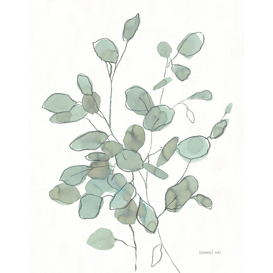 Transparent Leaves Eucalyptus Poster Print - Danhui Nai-VARPDX79238 Image 1