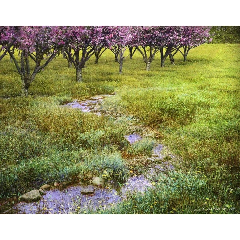 Summer Path Poster Print - Chris Vest-VARPDX79250GG Image 1