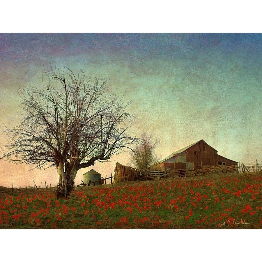 Barn on the Hill Poster Print - Chris Vest-VARPDX79253GG Image 1