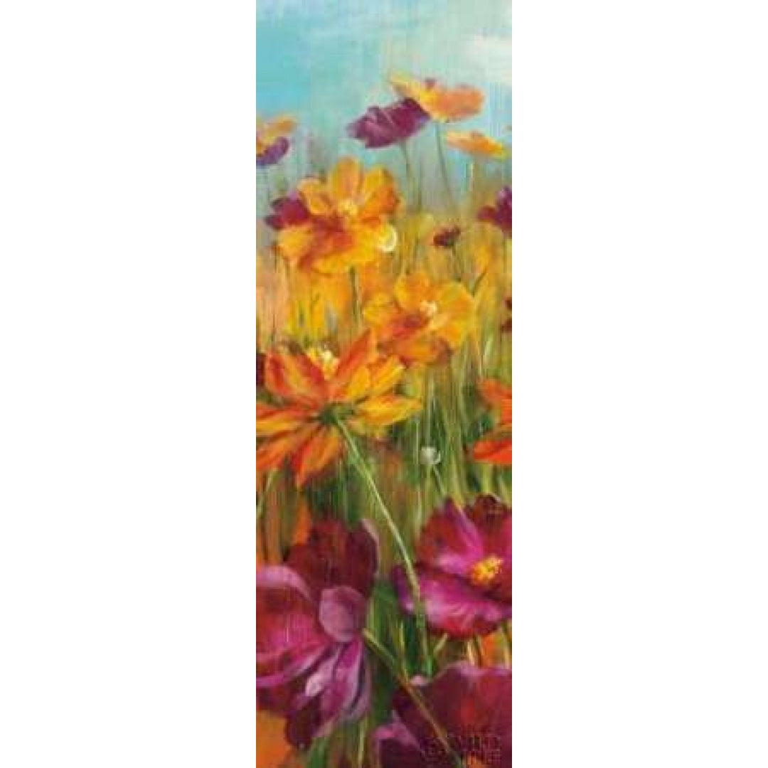 Cosmos in the Field II Poster Print by Danhui Nai-VARPDX7931 Image 2