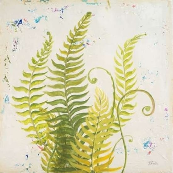 Nice Ferns II Poster Print by Patricia Pinto-VARPDX7933 Image 1