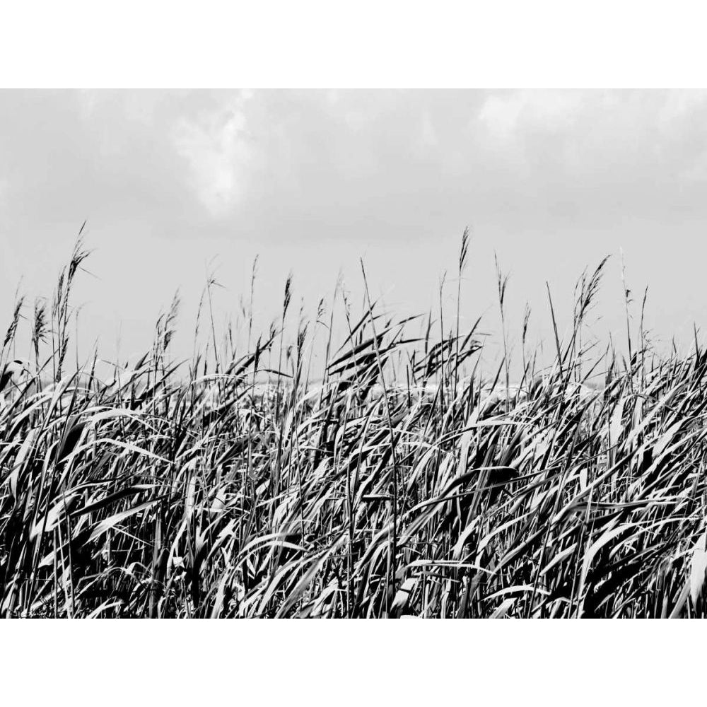 Dune Triptych I Poster Print - Jeff Pica-VARPDX79342D Image 1