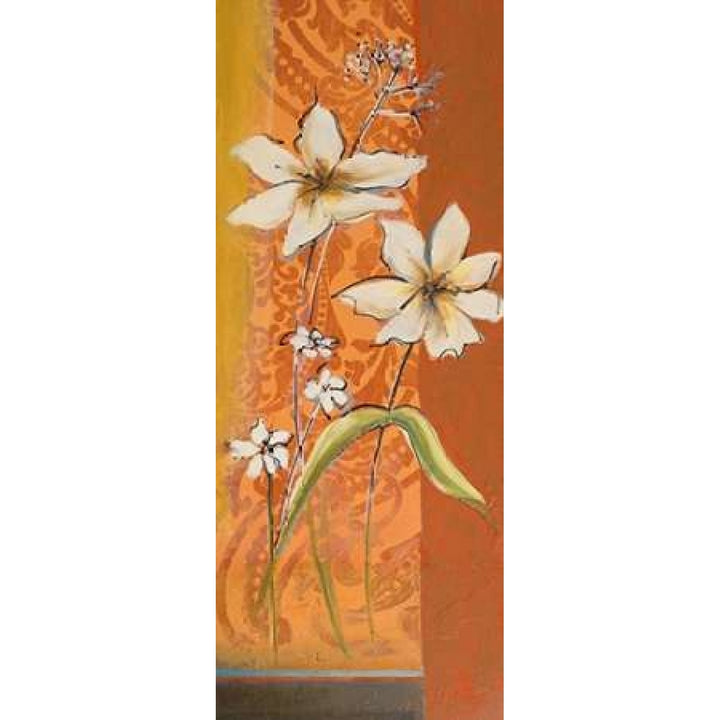 Fancy Floral I Poster Print by Patricia Pinto-VARPDX7934 Image 1