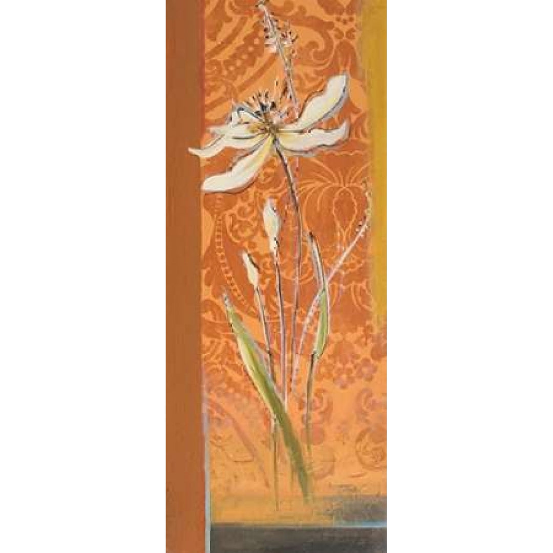 Fancy Floral II Poster Print by Patricia Pinto-VARPDX7935 Image 1