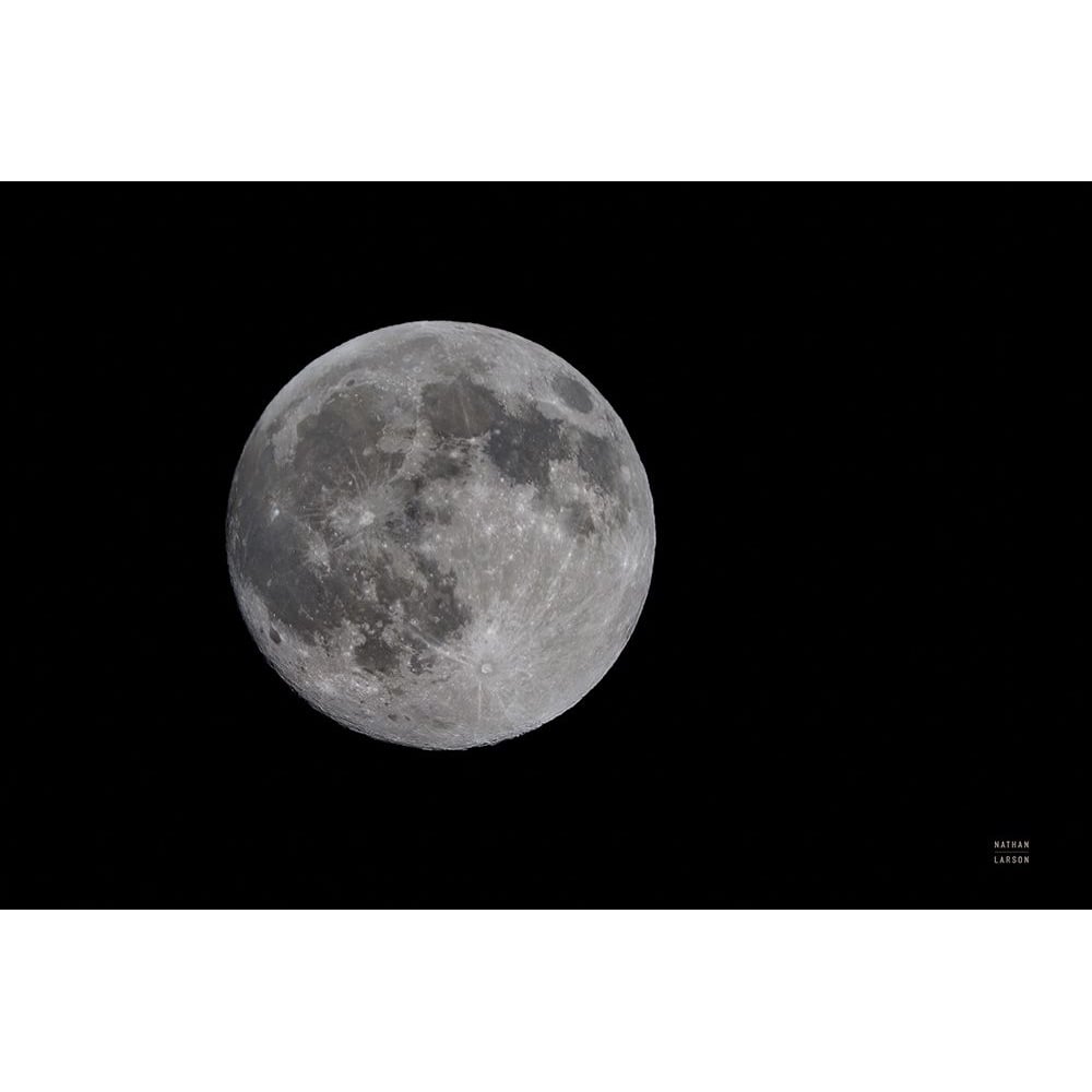 Spring Moon Poster Print - Nathan Larson-VARPDX79405 Image 1