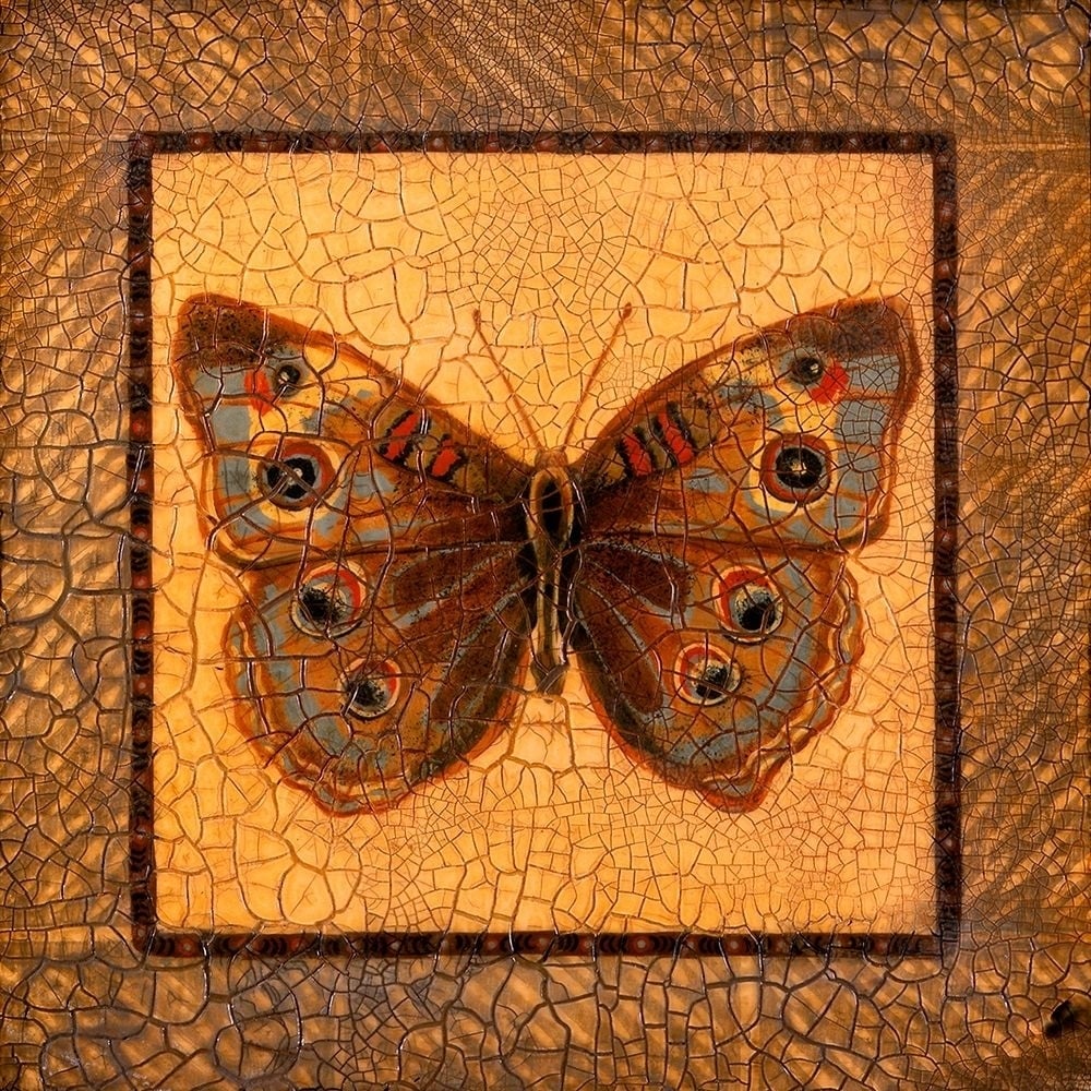 Crackled Butterfly - Buckeye Poster Print - Wendy Russell-VARPDX79546D Image 1