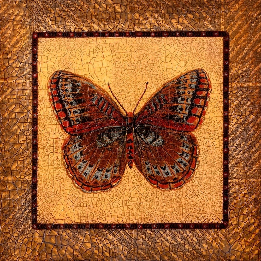 Crackled Butterfly - Fritillary Poster Print - Wendy Russell-VARPDX79547D Image 1