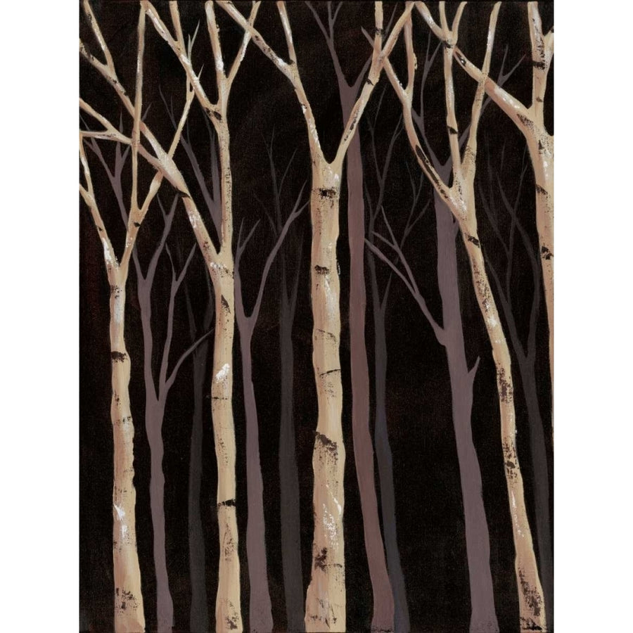 Midnight Birches I Poster Print - Jade Reynolds-VARPDX79635GG Image 1