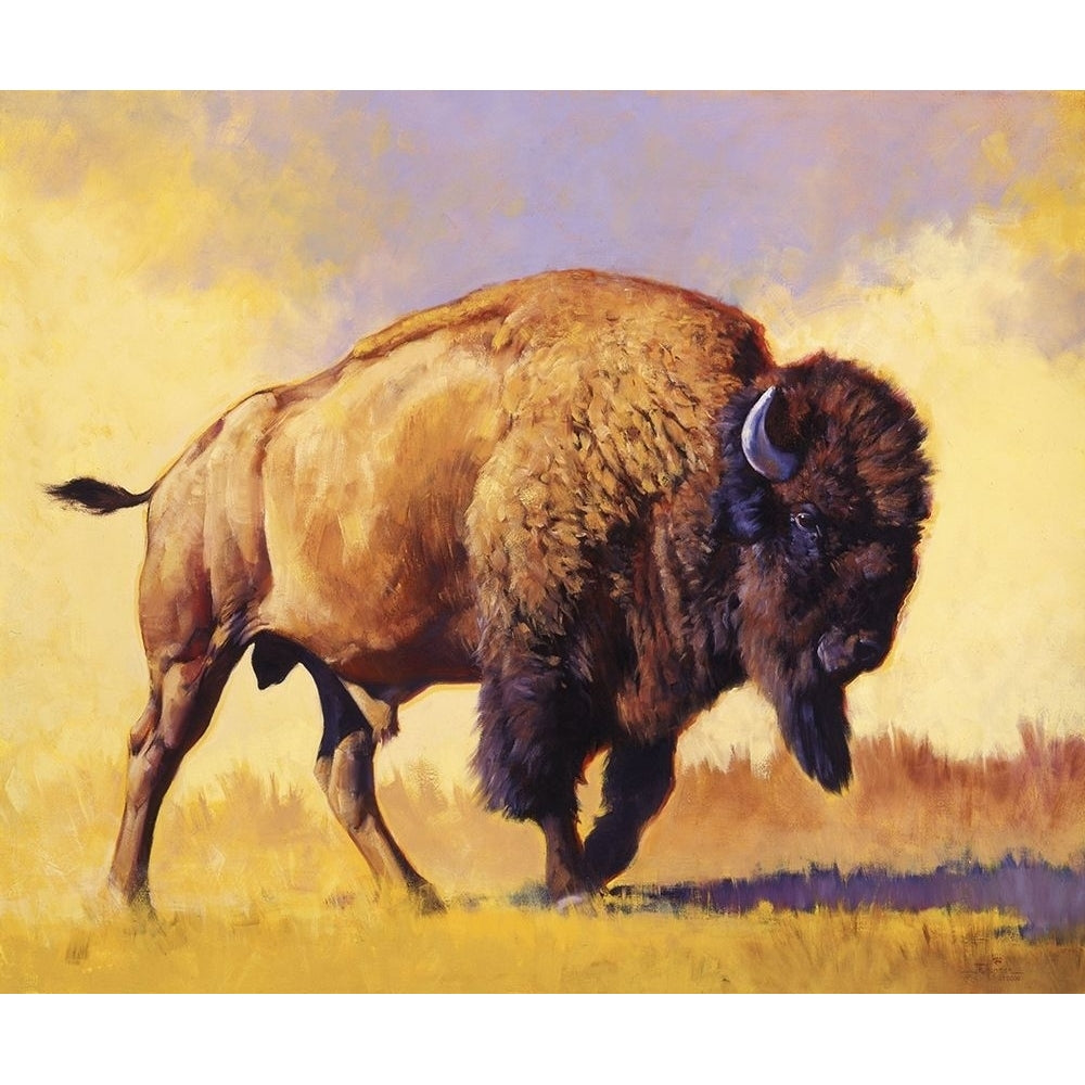 Tatanka Poster Print - Julie T. Chapman-VARPDX79673GG Image 1