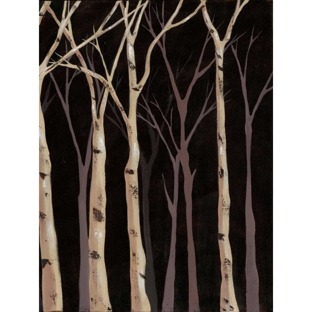 Midnight Birches II Poster Print - Jade Reynolds-VARPDX79636GG Image 1