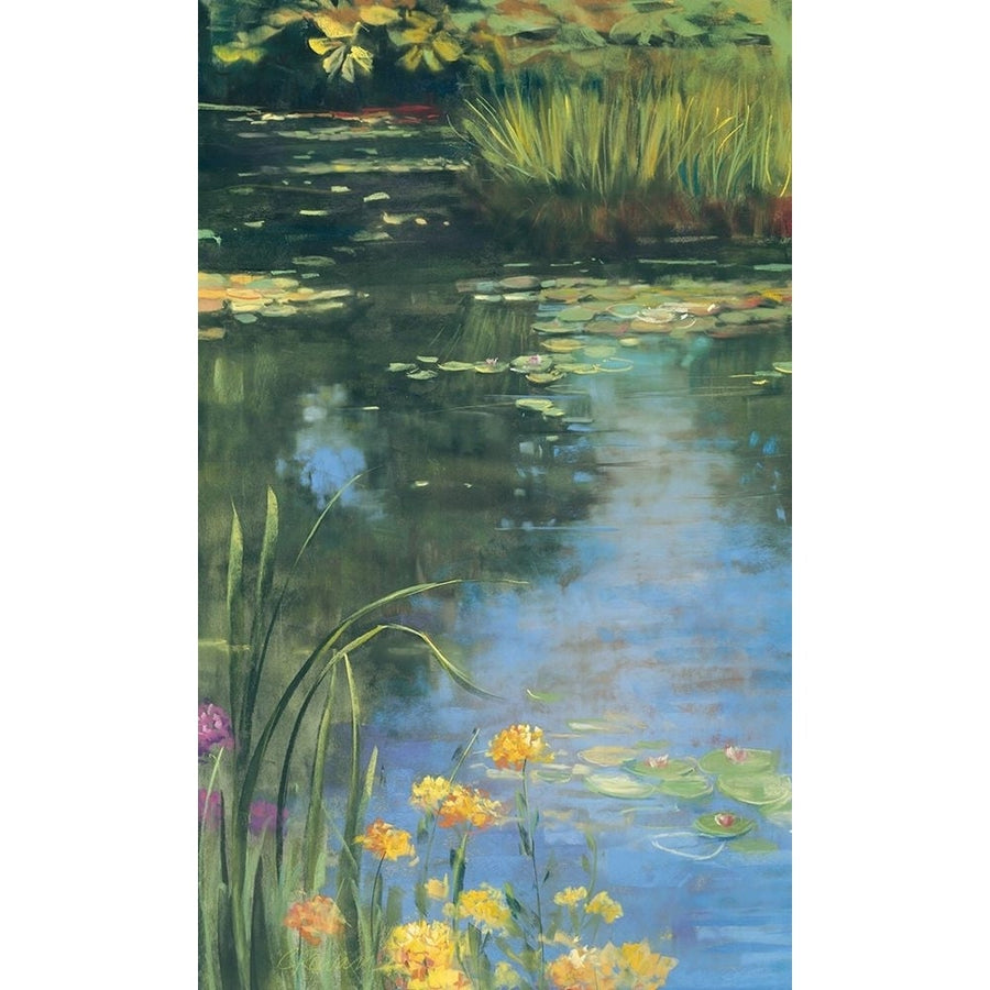 Garden Pond II Poster Print - Carol Rowan-VARPDX7979 Image 1