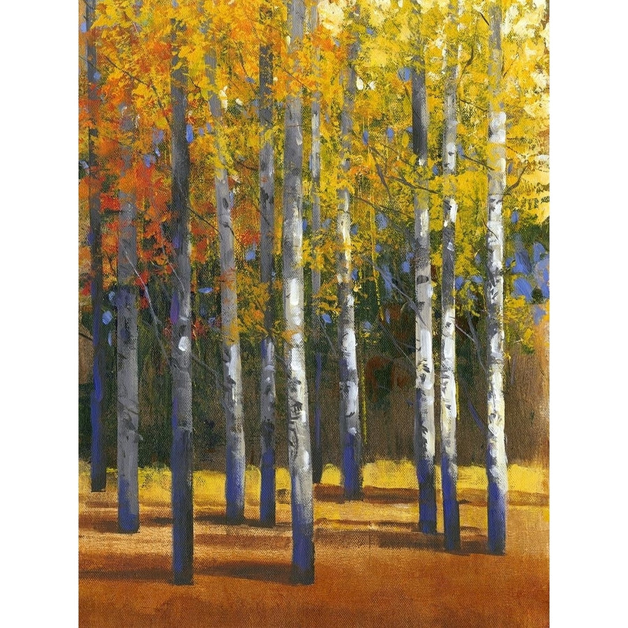 Fall in Glory I Poster Print - Tim OToole-VARPDX79864GG Image 1